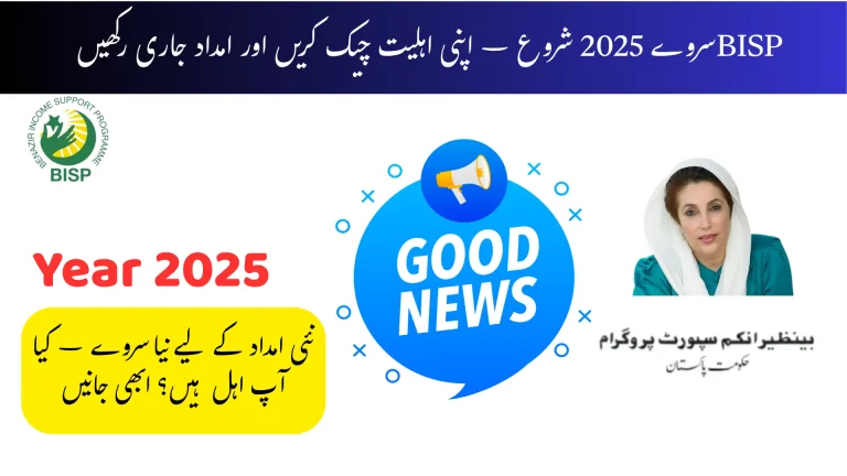 BISP Survey 2025