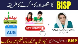 How BISP is Supporting School Attendance in 2025 – Especially for Girls BISP is Supporting School Attendance