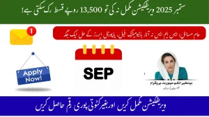 BISP 8171 September 2025 Verification: Ultimate Guide to Secure Rs. 13,500 Payments BISP 8171 September 2025 Verification