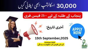 30,000 Scholarships Announced for Punjab Students 30,000 Scholarships Announced for Punjab Students