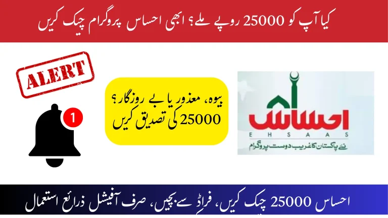 احساس پروگرام 25000 چیک کرنے کا طریقہ