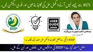 Resolve BISP 8171 Payment Issues August 2025: Complete Official Solutions Guide 8171 ehsas payment issues