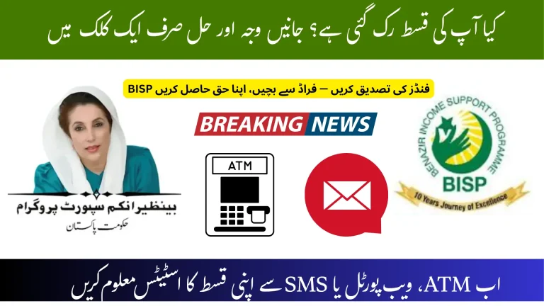 Check BISP Balance Status Online