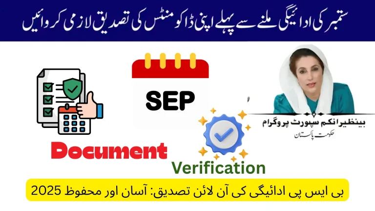BISP 8171 Payment Verification Online