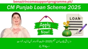 CM Punjab Loan Scheme 2025 – Apply Online, Login & Last Date cm punjab loan scheme 2025