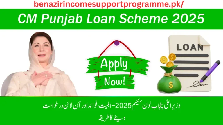 cm punjab loan scheme 2025