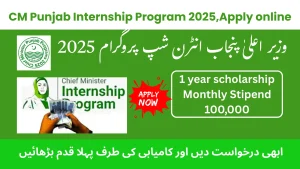 CM Punjab Internship Program 2025